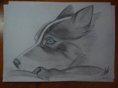 Рисунки волк.jpg